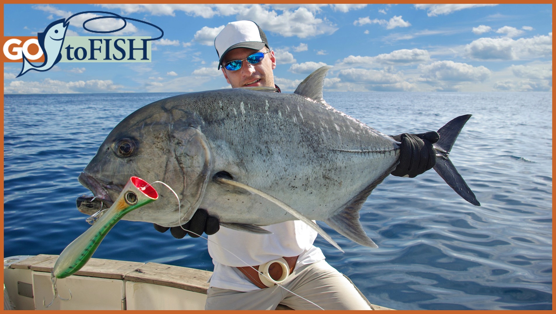 GotoFish social4