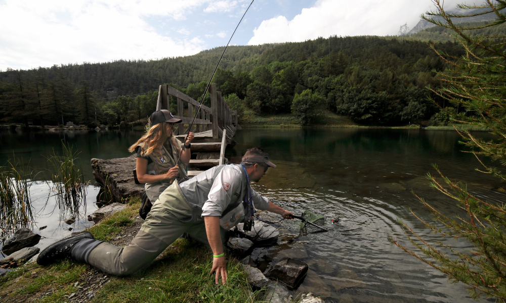 Val di Susa News 3