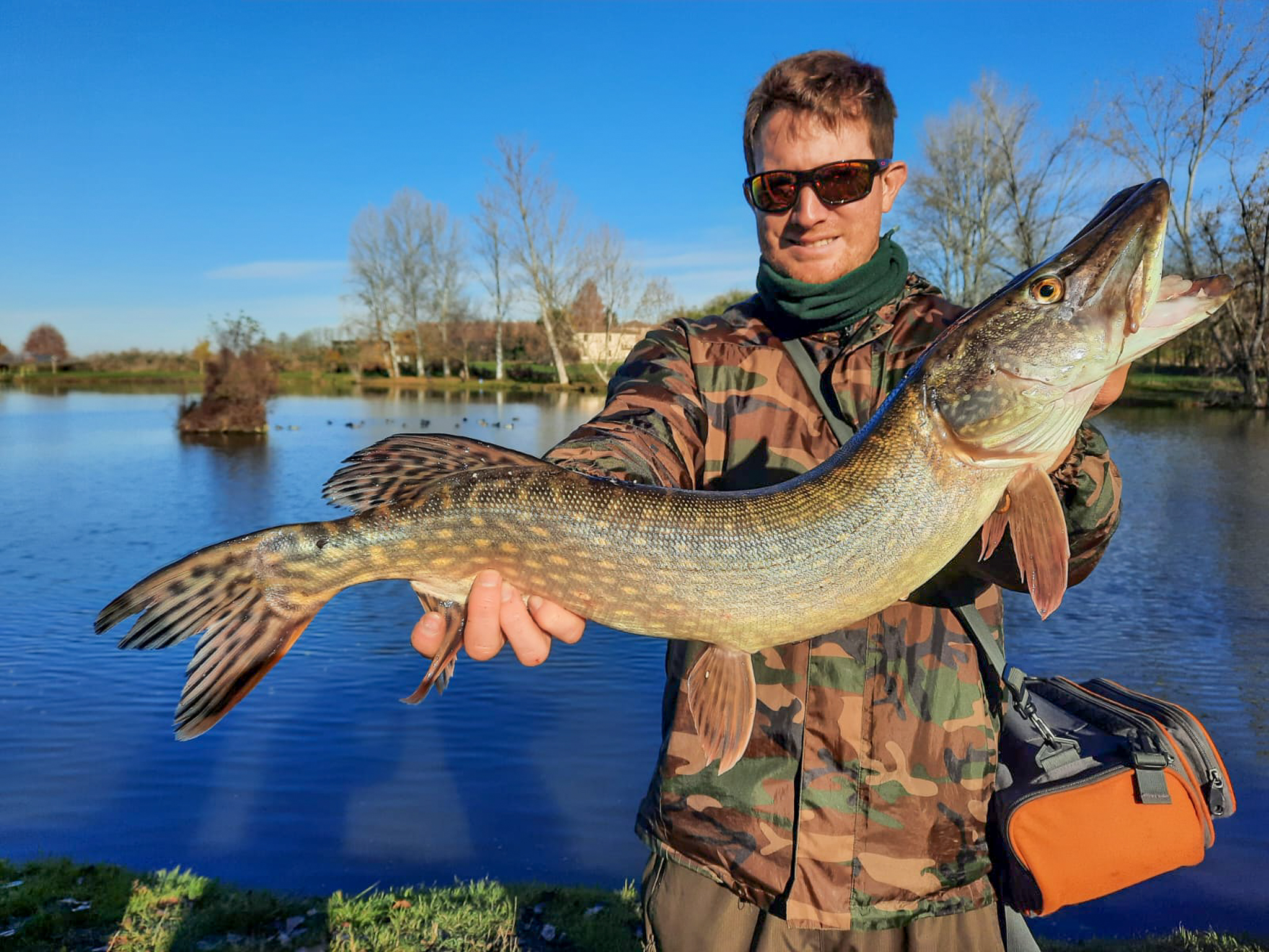 golden pike gara pesca luccio 3