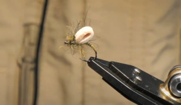 BWO Foam Emerger: L'esca a mosca che imita le mosche emergenti con successo