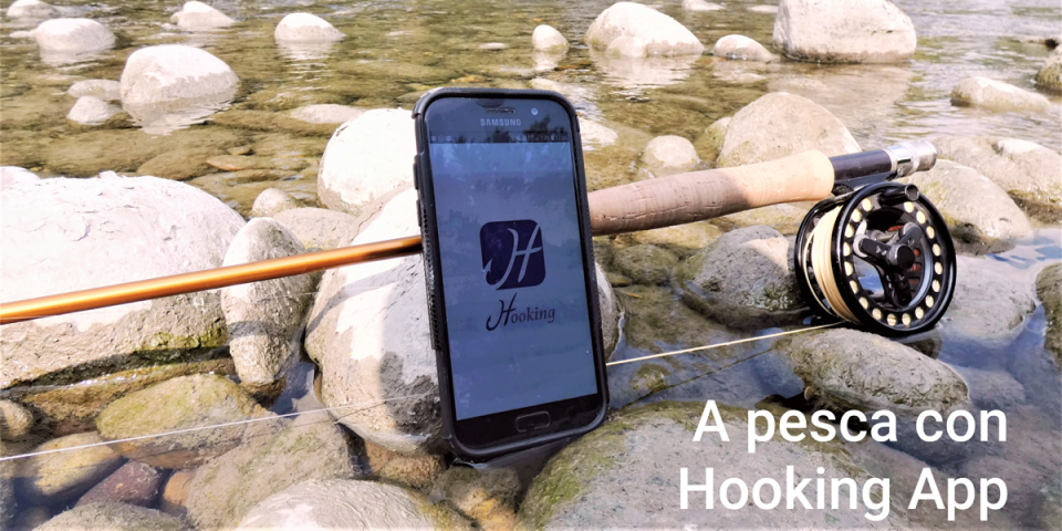 Innovation Ideas 2021: Hooking App