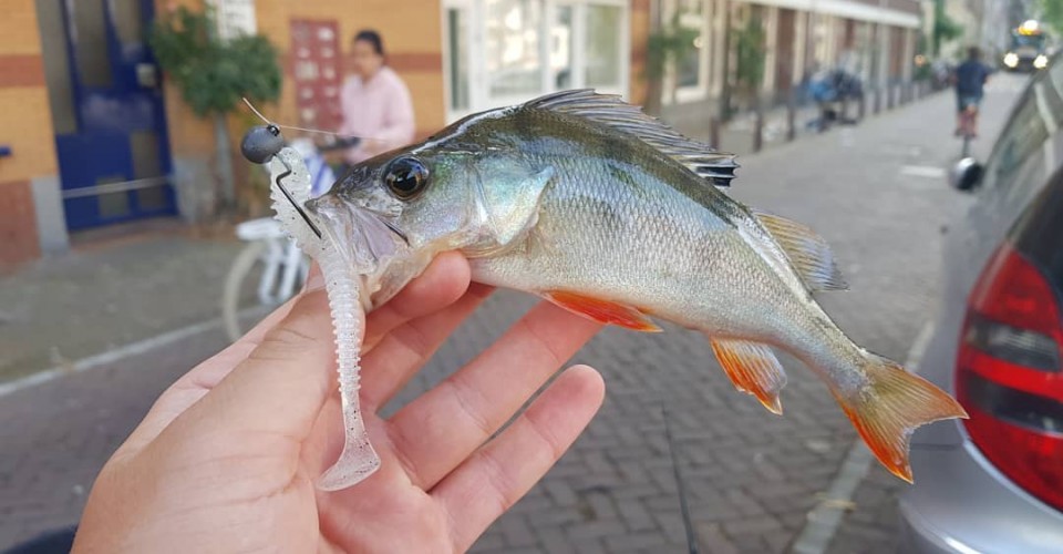 STREET FISHING AD AMSTERDAM