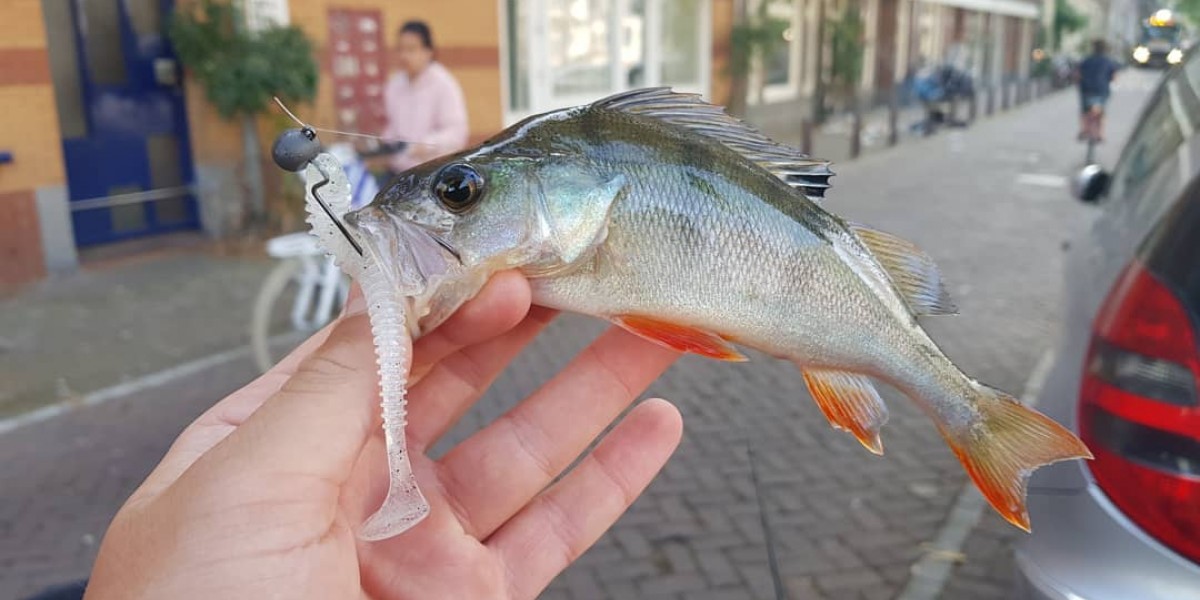 STREET FISHING AD AMSTERDAM