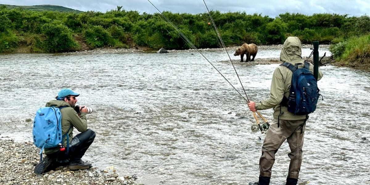 Alla scoperta dell'Alaska: l'ultima frontiera