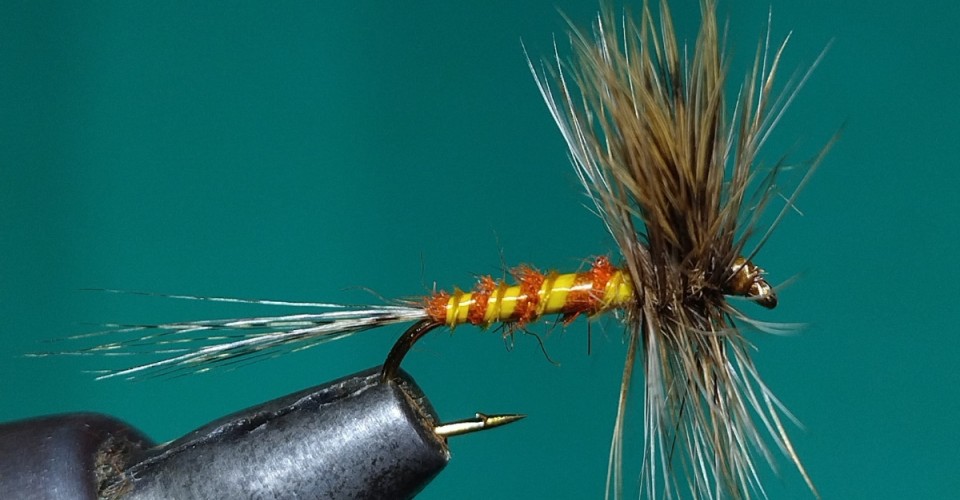 I colli di gallo per artificiali per la pesca a mosca