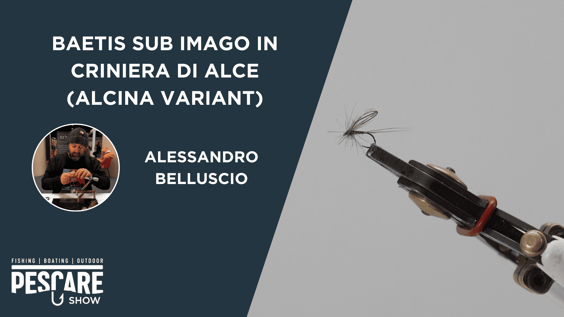 Baetis sub imago in criniera di alce
