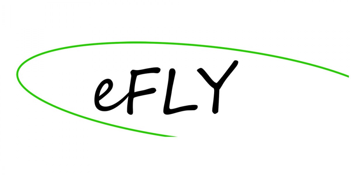 Pescare Show 2024: E-FLY PROFESSIONAL FLY CASTING ANALYSIS SYSTEM