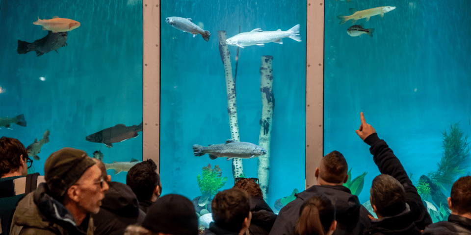 PESCARE SHOW, A RIMINI UN TUFFO NEI DIVERSI MONDI DELLA PESCA SPORTIVA