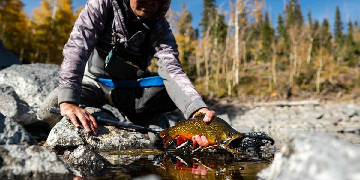 Il Film Festival Internazionale di pesca a mosca a Pescare Show 2021