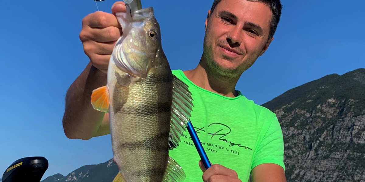 Pesca al pesce persico