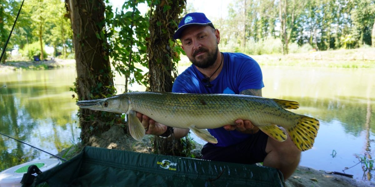 Il Feeder Fishing, una tecnica poliedrica - Terza Parte