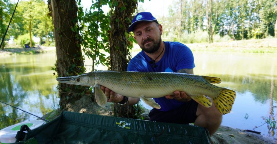 Il Feeder Fishing, una tecnica poliedrica - Terza Parte