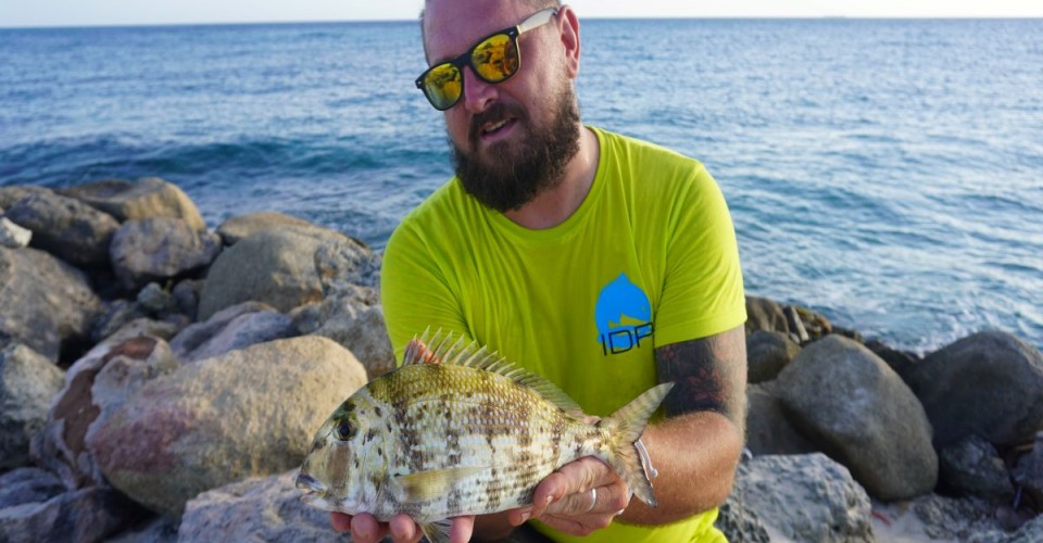 Aruba, un viaggio tra pesca e relax 