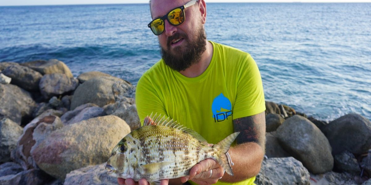 Aruba, un viaggio tra pesca e relax 