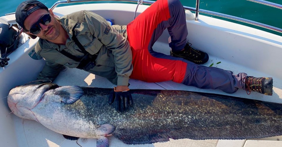 La sfidante pesca al siluro 