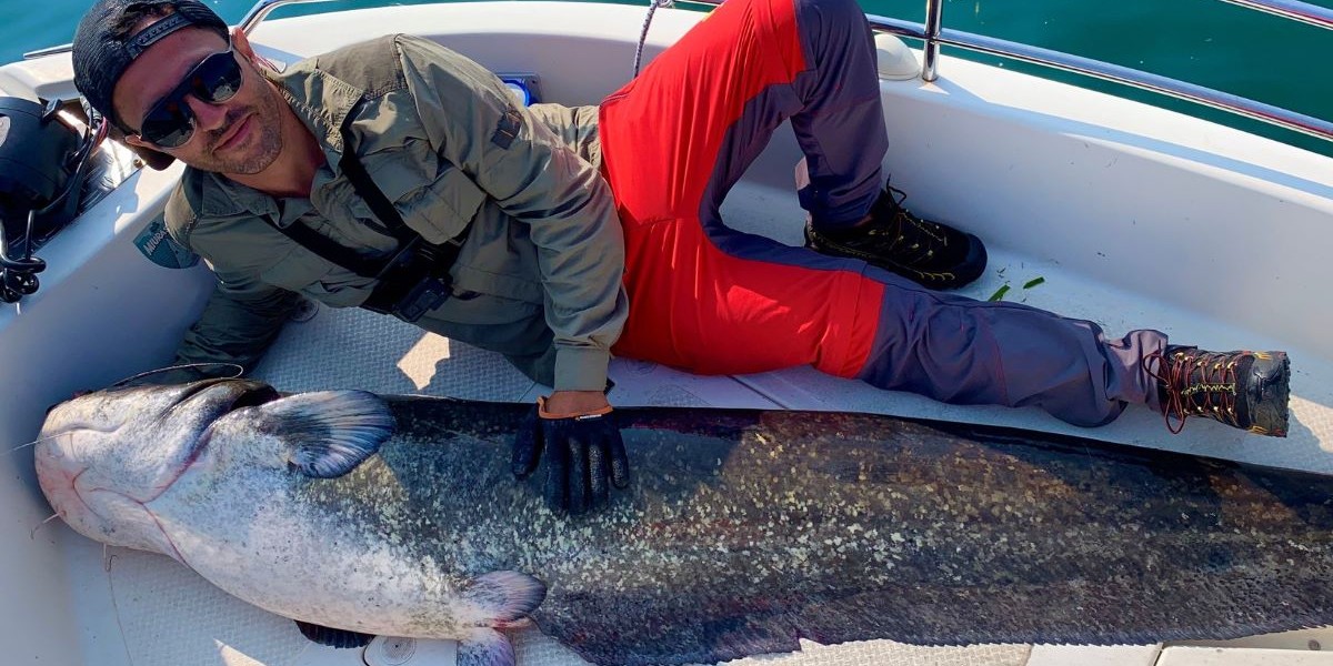 La sfidante pesca al siluro 