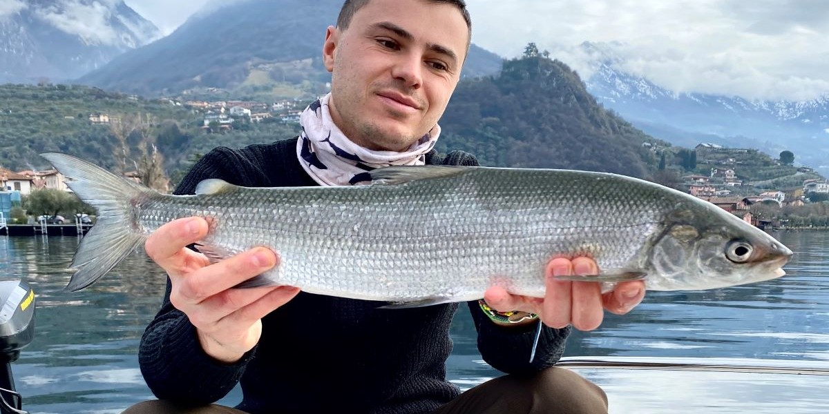 Pesca al Coregone