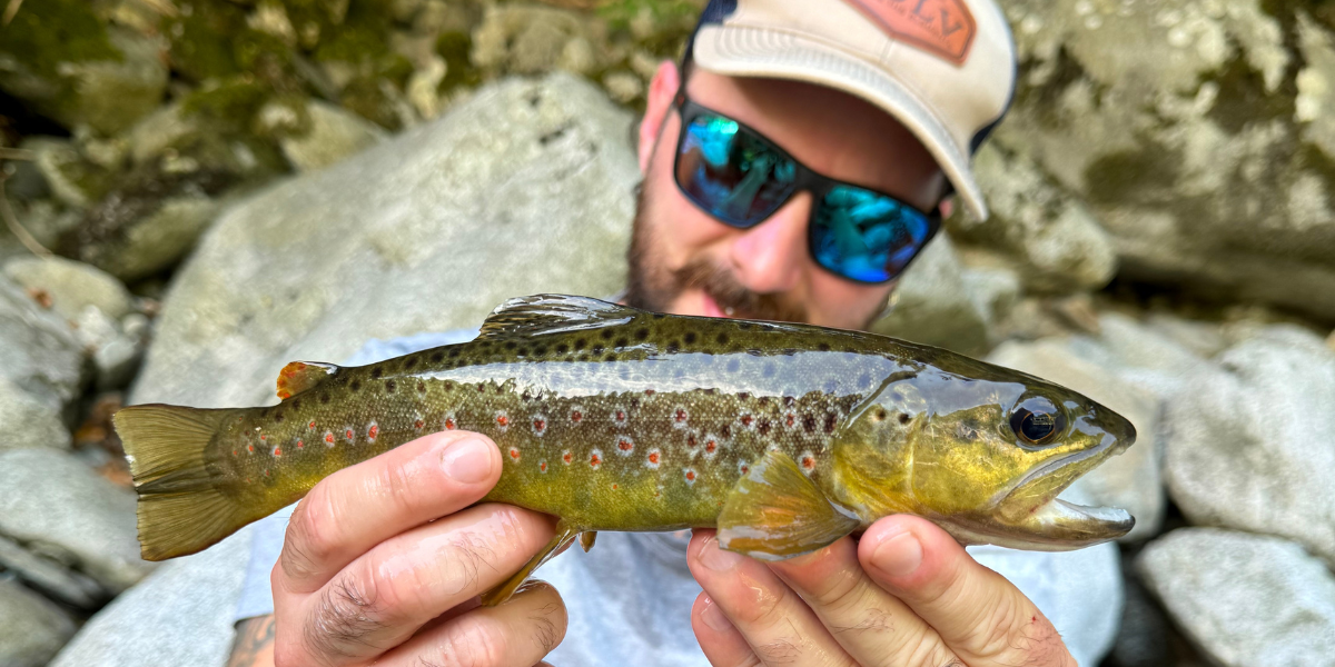 6 Trucchi per Pescare le Trote a Spinning in torrente