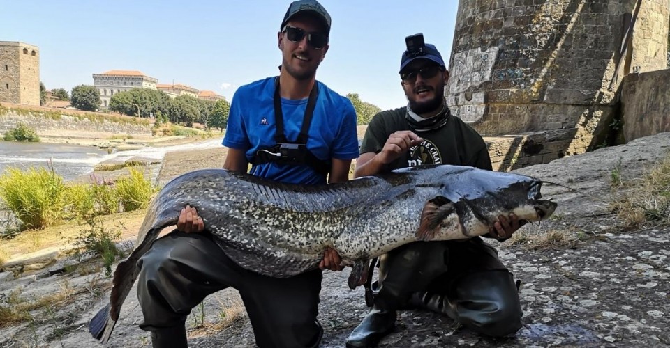Perché andiamo a pesca?