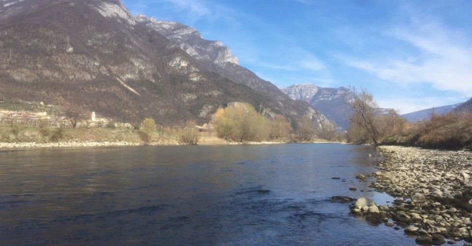 A March (brown) in Adige