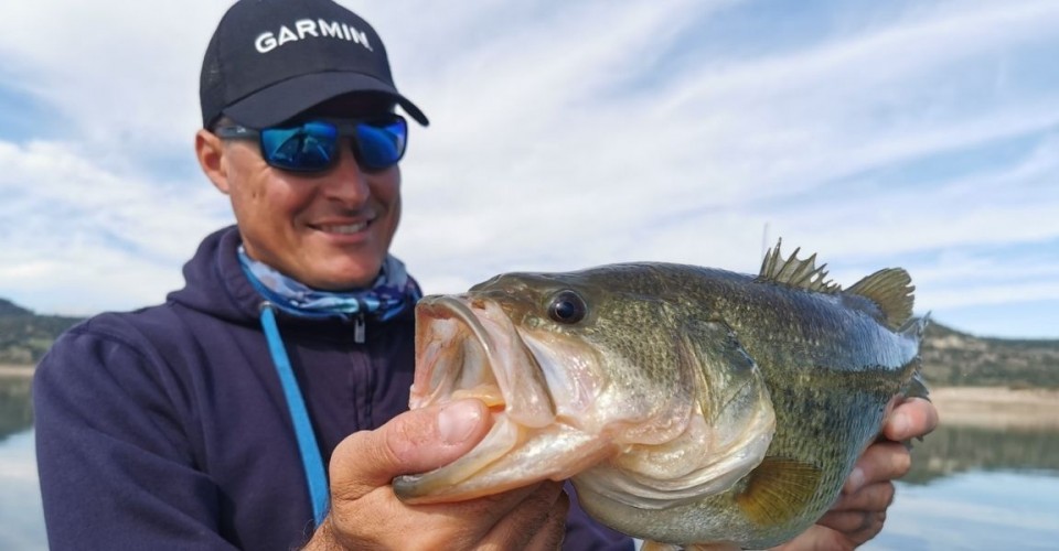 Big Bass: comportamento e consigli per la cattura