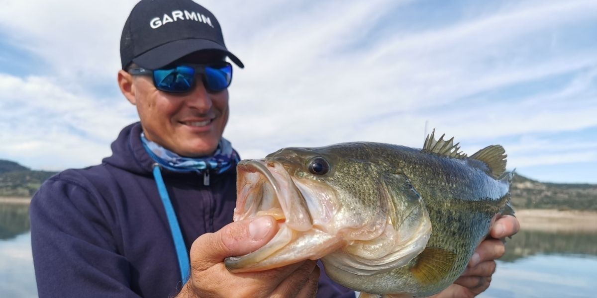 Big Bass: comportamento e consigli per la cattura