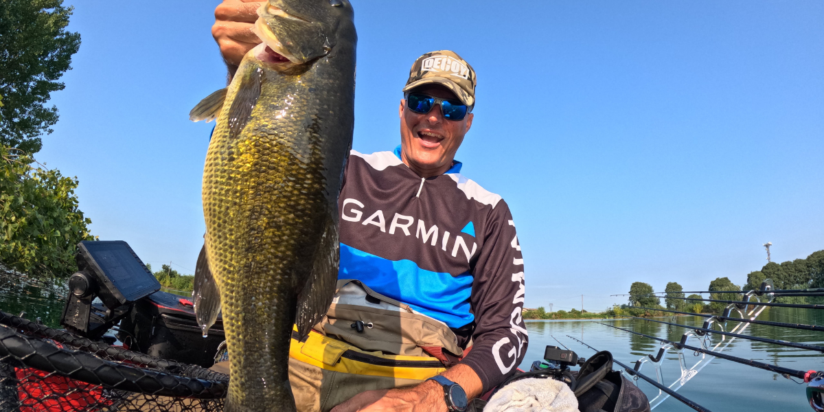 Bass autunnali