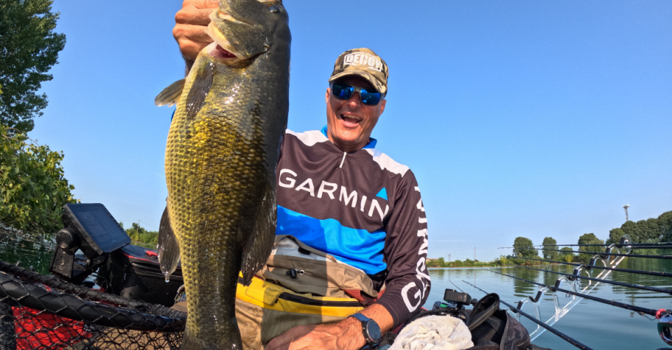 Bass autunnali
