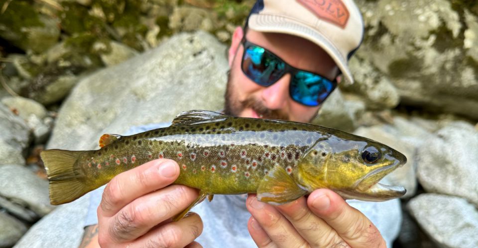 6 Trucchi per Pescare le Trote a Spinning in torrente