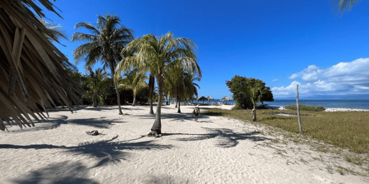 Il Paradiso può attendere