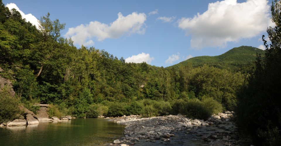 Le trote della Val Trebbia, la riserva di Gorreto
