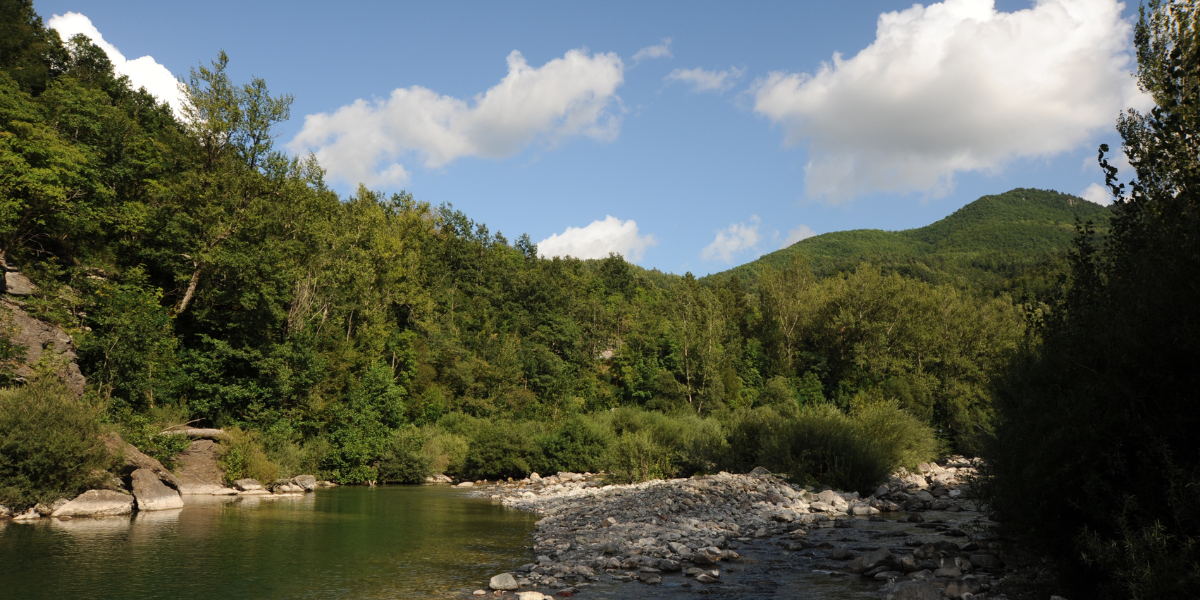 Le trote della Val Trebbia, la riserva di Gorreto