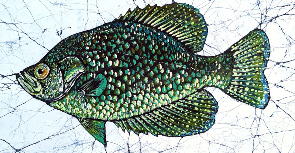 Eric Clark Jackson, artista naturalista