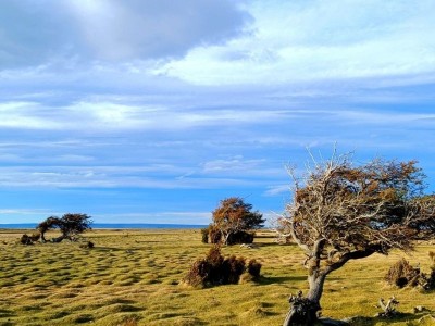 PESCA IN PATAGONIA