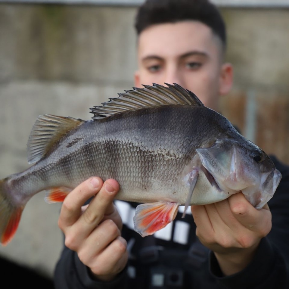 Rob vs fishing