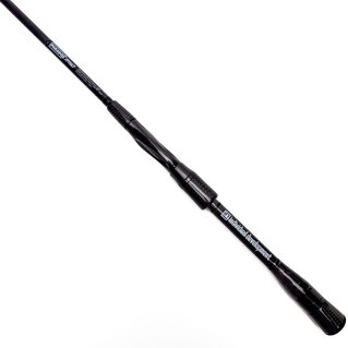 Paradox Studio Composite